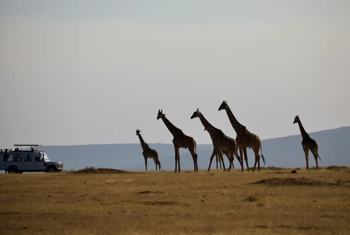 Luxury Glamping, Cultural Discovery, Big Five & Rift Valley Adventure