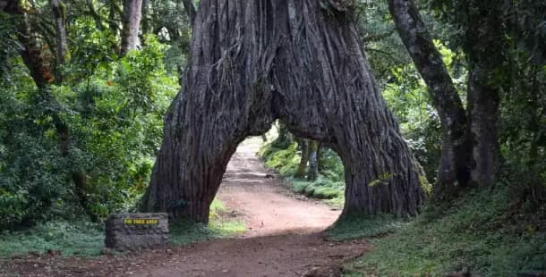 Arusha National Park