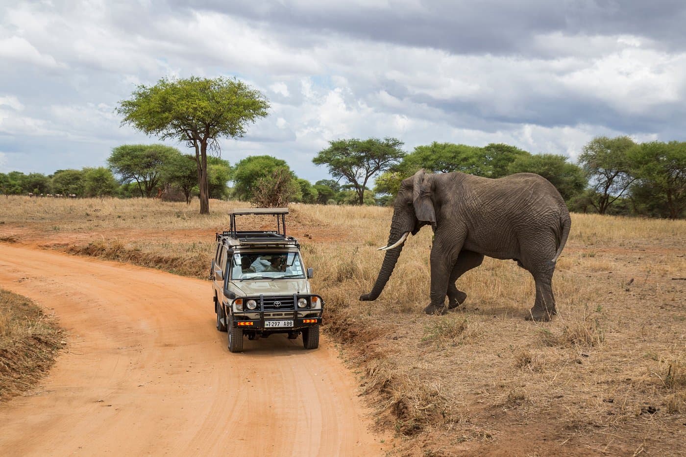 Private Game Drives