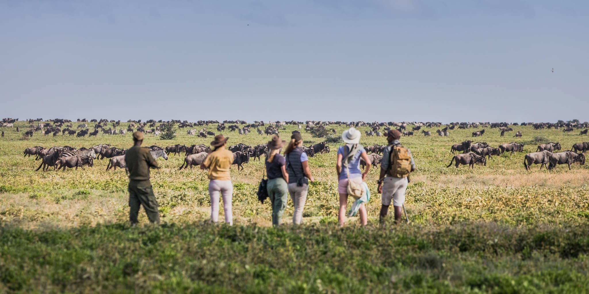 Walking Safari