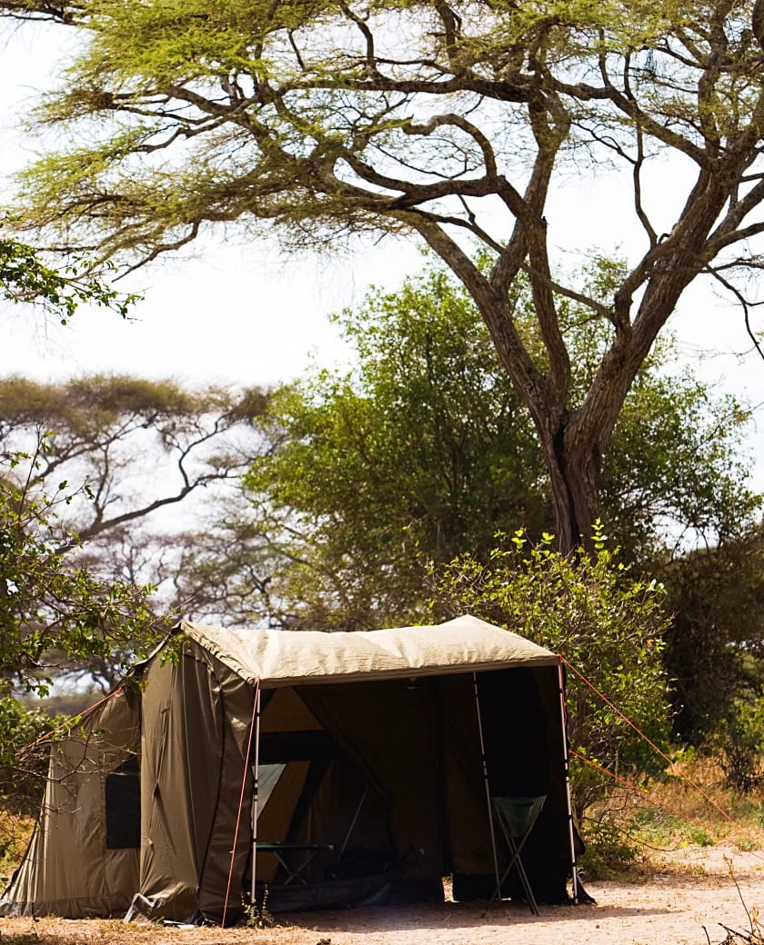 Reliable stays, warm service, and steady value that holds up day after day.
