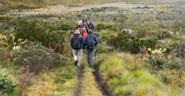 Mountain-Edge Hiking