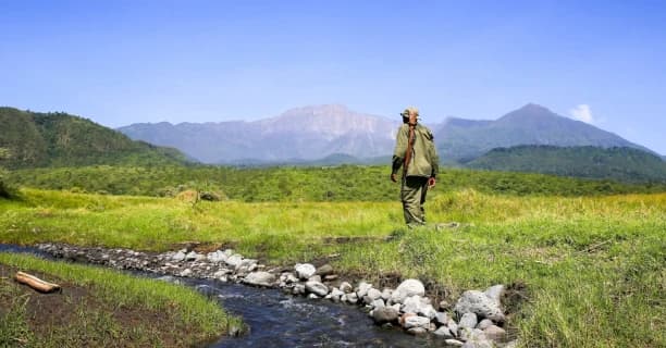 Go Walking Safaris