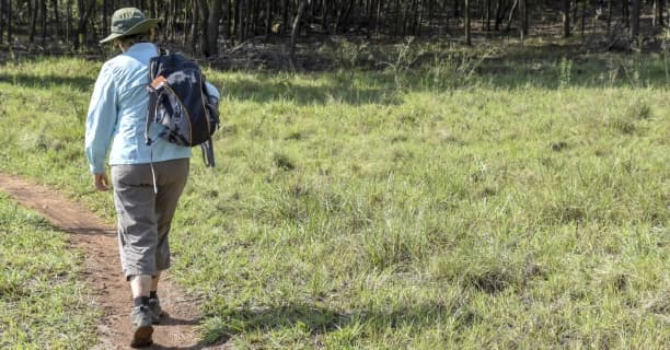 Guided Nature Walks