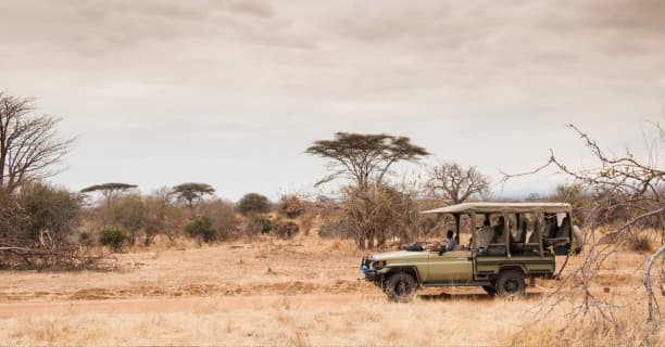 Long Game Drives