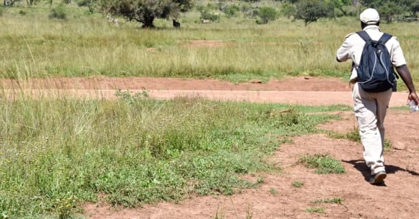 Guided Walking Safaris