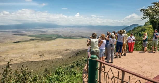 Guided Walking Safaris