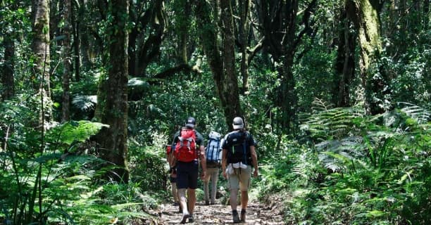 Guided Nature Walks