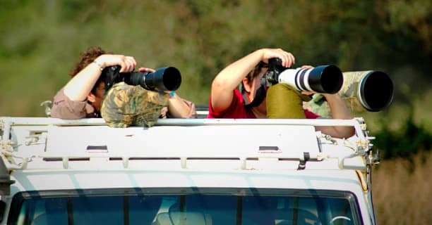 Golden-Hour Photography Moments