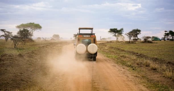 Unhurried Game Drives