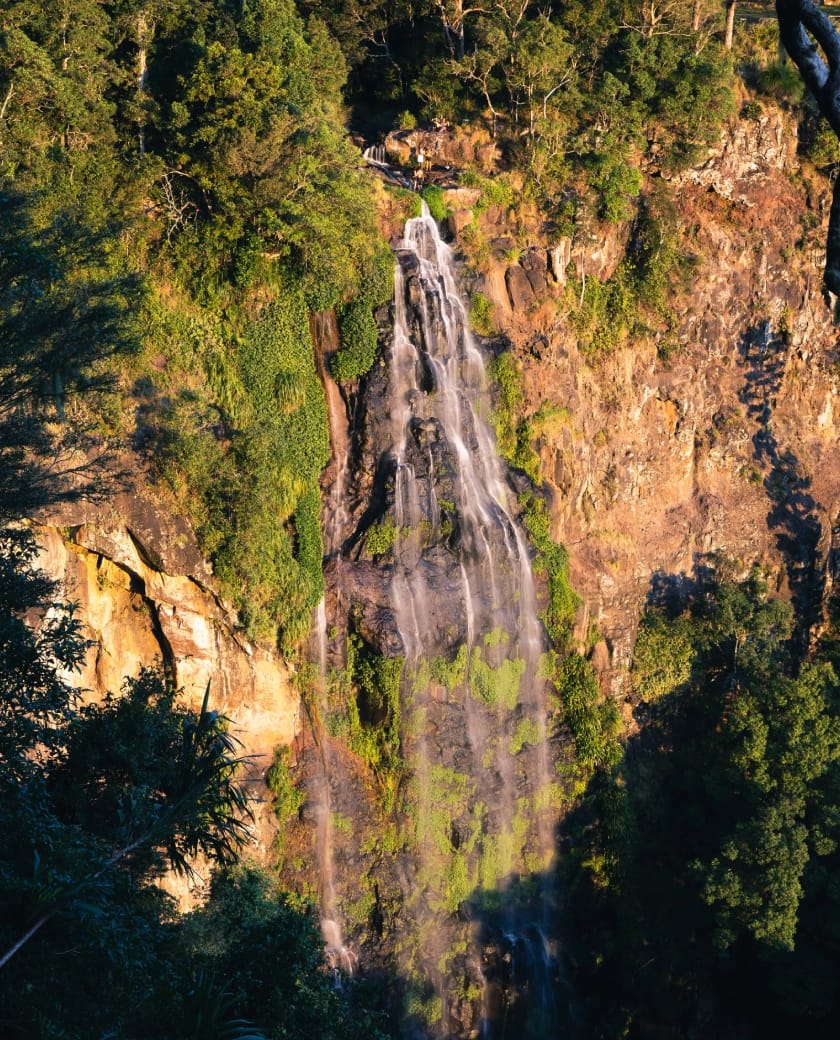 Mist-draped mountains, secret waterfalls, rare primates, and birds hidden in an ancient forest.