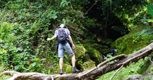 Walk Udzungwa Scarp