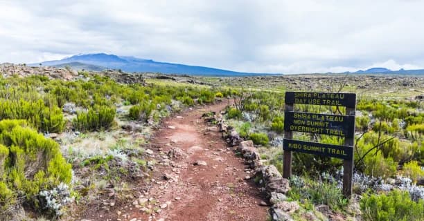 Shira Plateau Walks