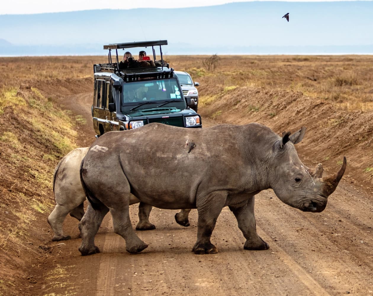 7 Days Wildlife Budget Cultural Fly in Safari