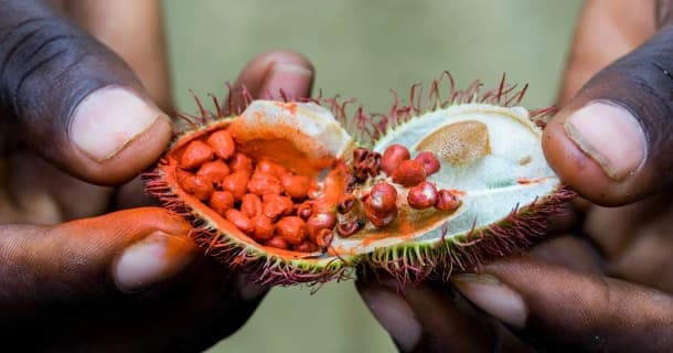 Join a Spice Tour