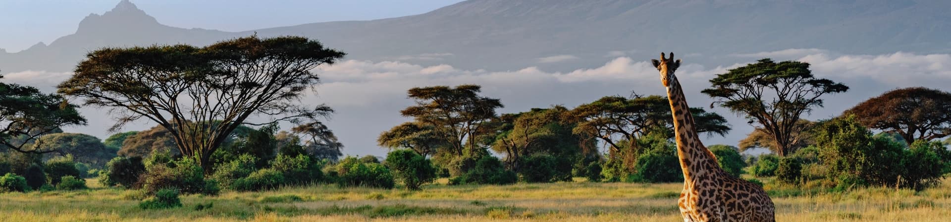 KILIMANJARO NATIONAL PARK