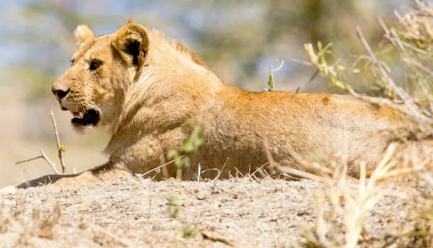 Serengeti National Park