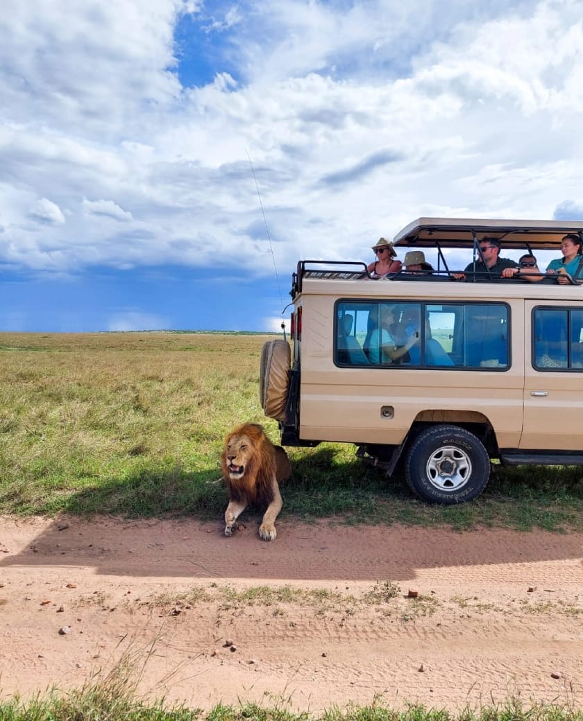 Local knowledge guiding meaningful safaris built from lived experience and Tanzania’s spirit.
