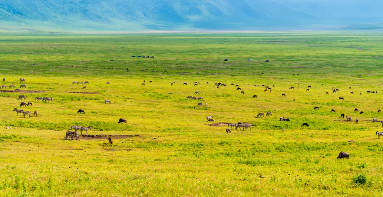 Best Time To Visit Tanzania