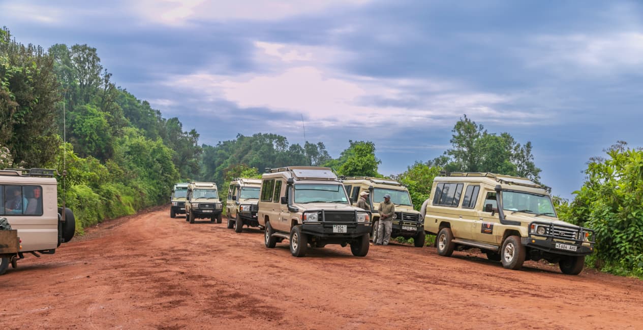 Tanzania Travel Guide