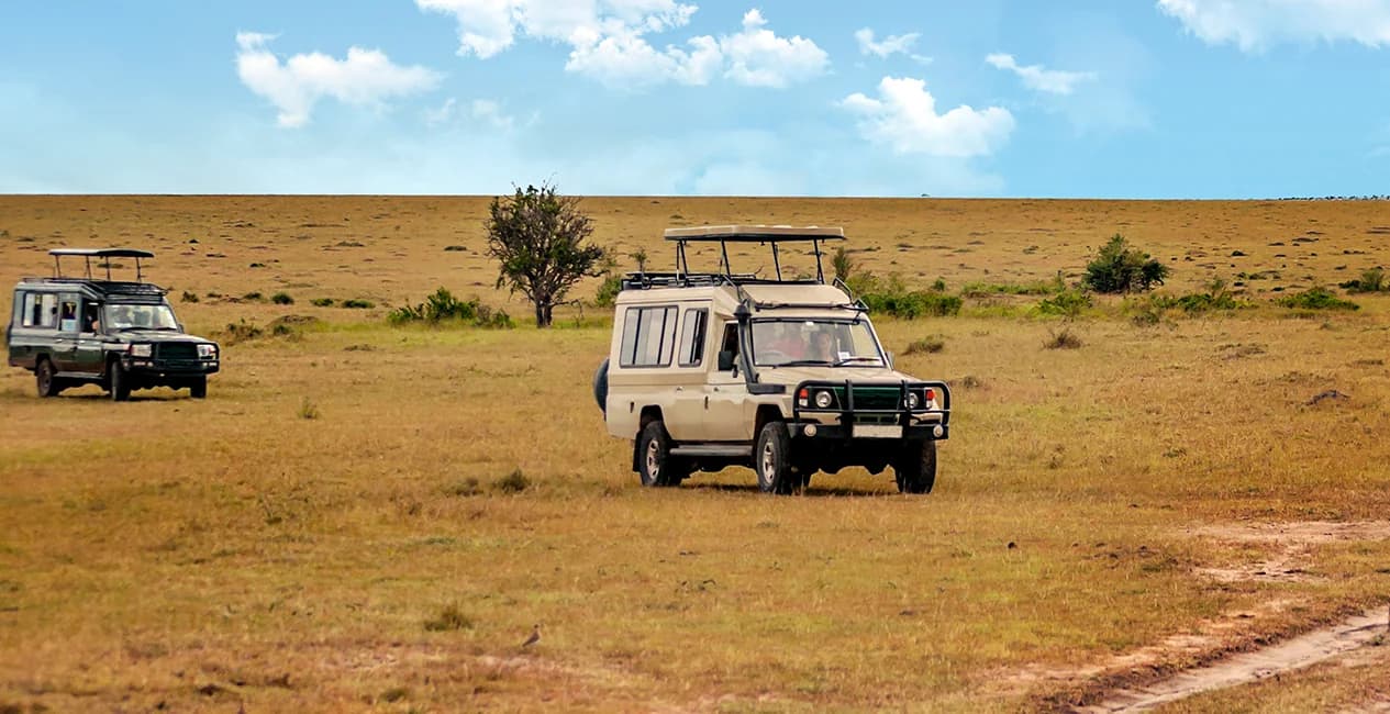 Serengeti Gamedrive