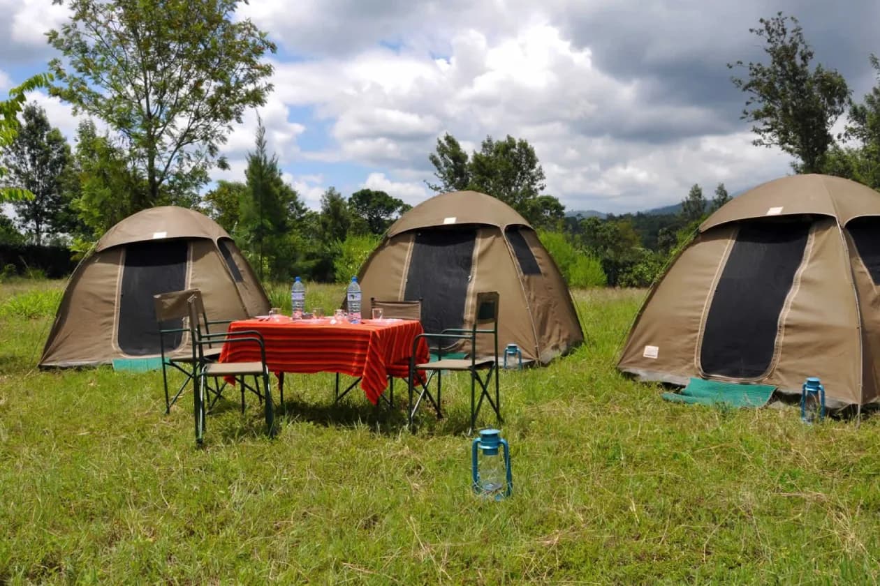 TANZANIA BUDGET SAFARIS