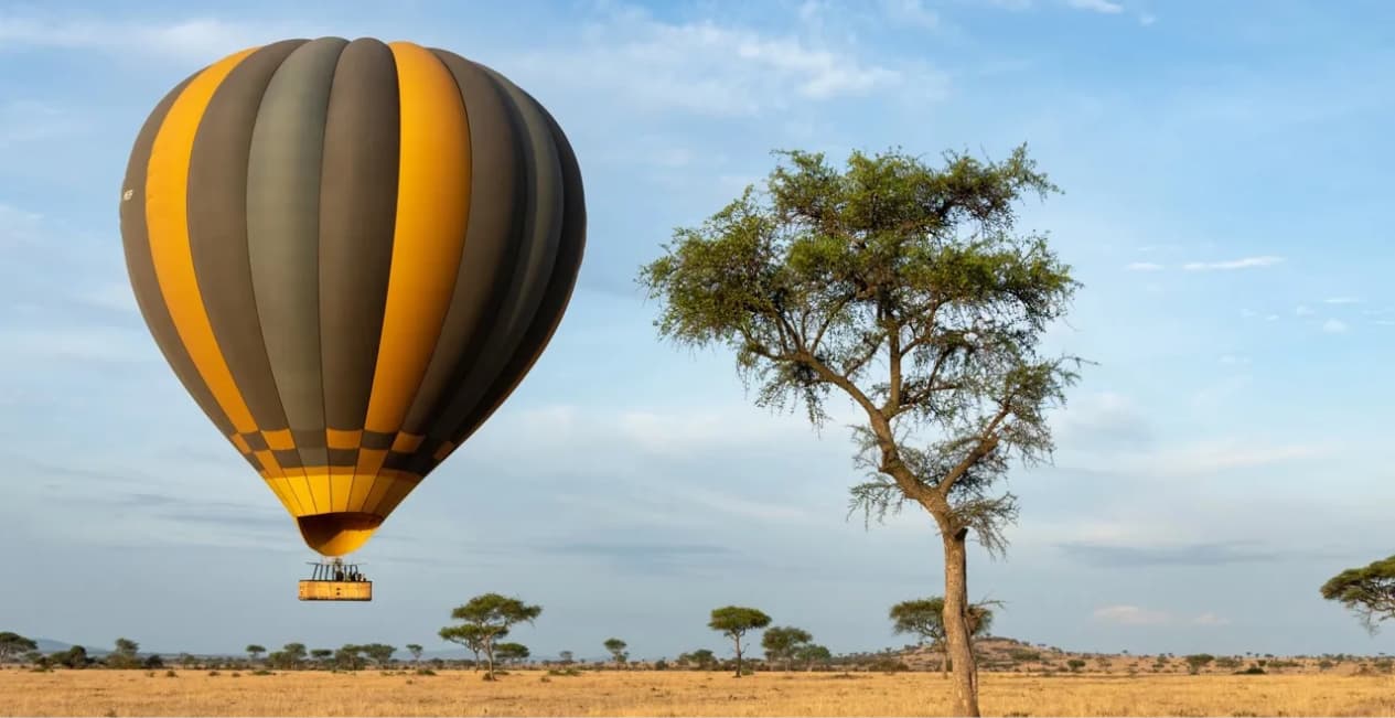 From Sunrise to Starlight: A Full Day on the Best Safari in Tanzania