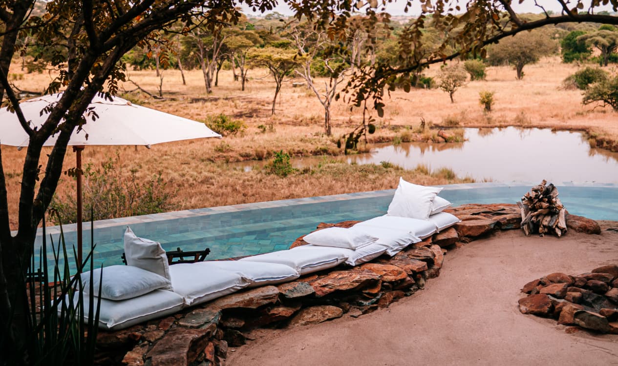 Luxury Safari Experience