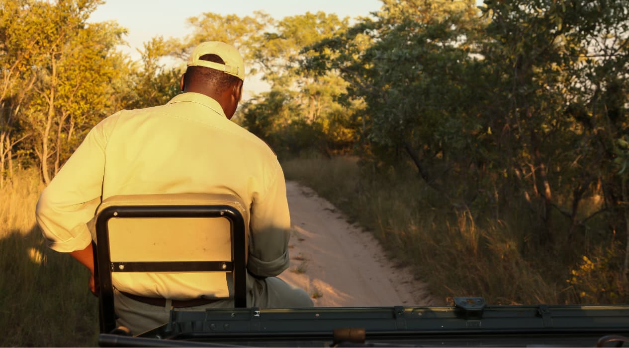 Tanzania Safari Guide