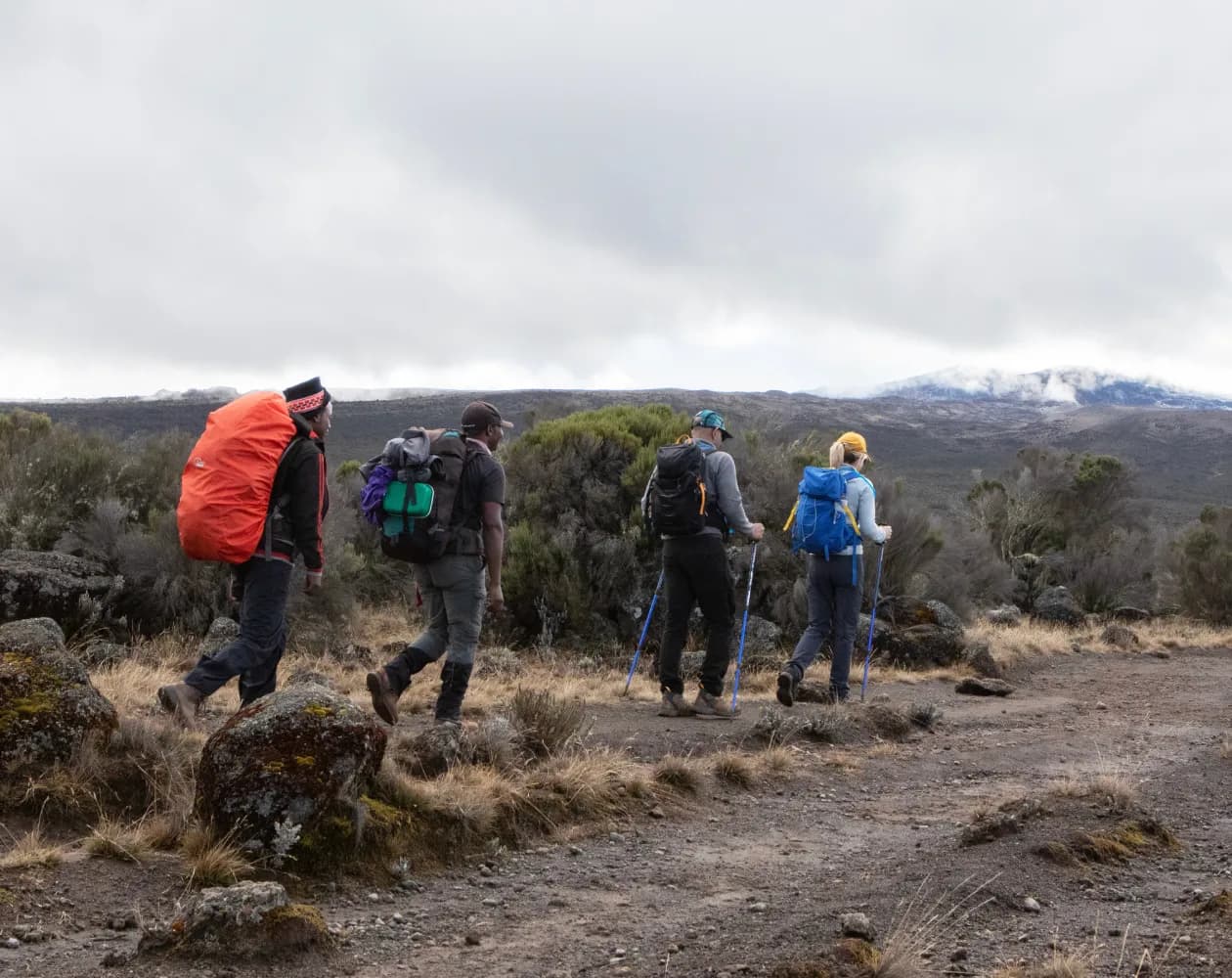 8 Days Lemosho Route