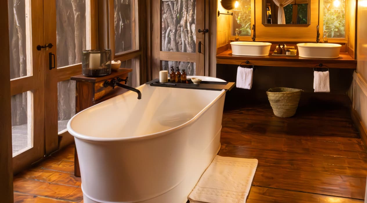 The Difference Between Standard and Premium Tanzania Safari Experiences