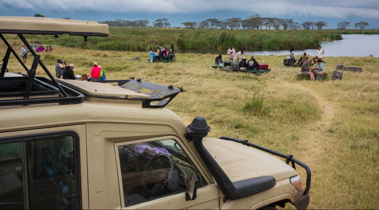 How Safari Vehicles Influence Wildlife Experiences in Tanzania