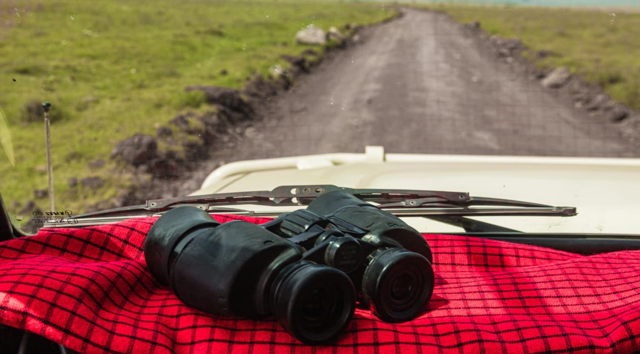 How Tanzania Safari Ecosystems Support Wildlife Survival