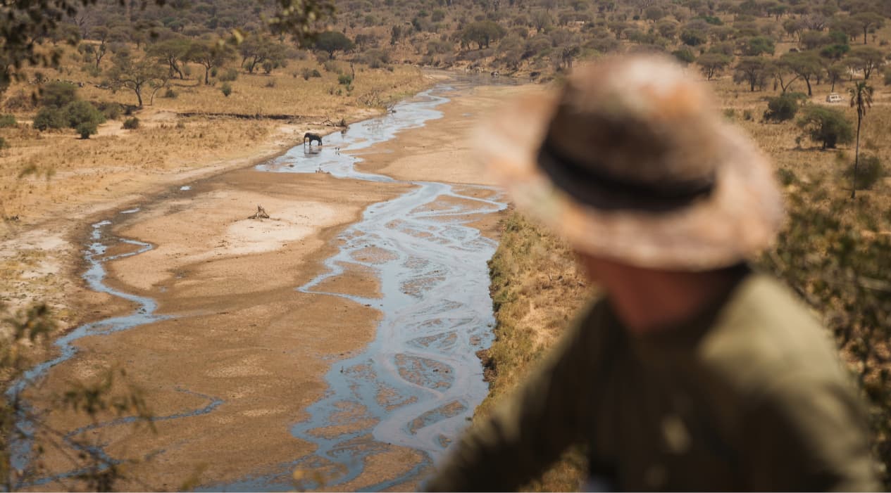 Conservation & Responsible Tourism