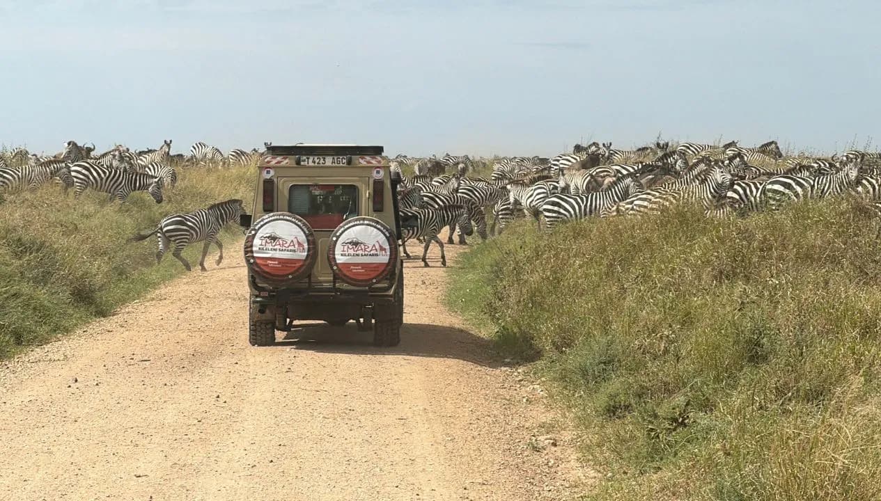Tanzania Safari Tours