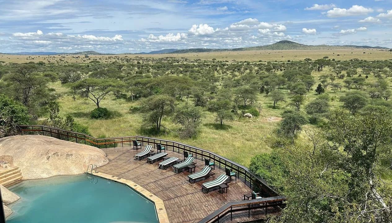 African Safari Morning
