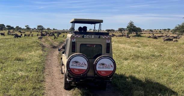 Unhurried Game Drives