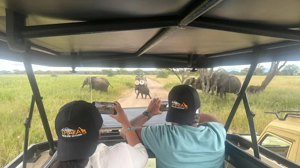 German Travelers in Serengeti