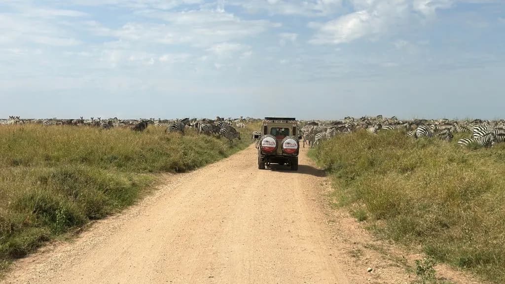 Serengeti Safari
