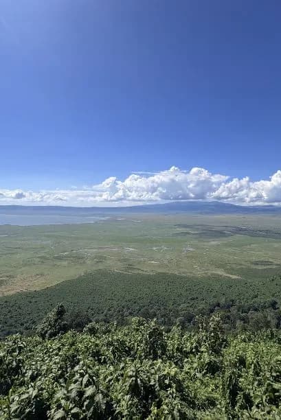 Ngorongoro Crater Safari