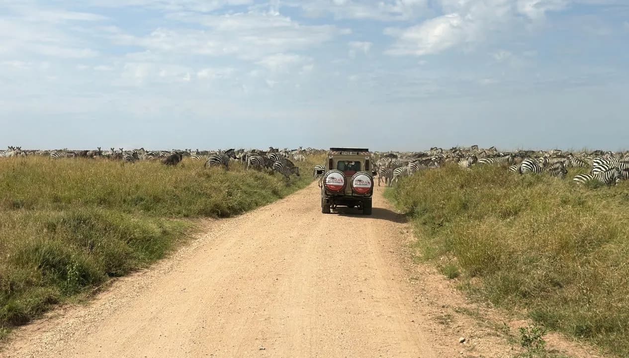 Tanzania Safari