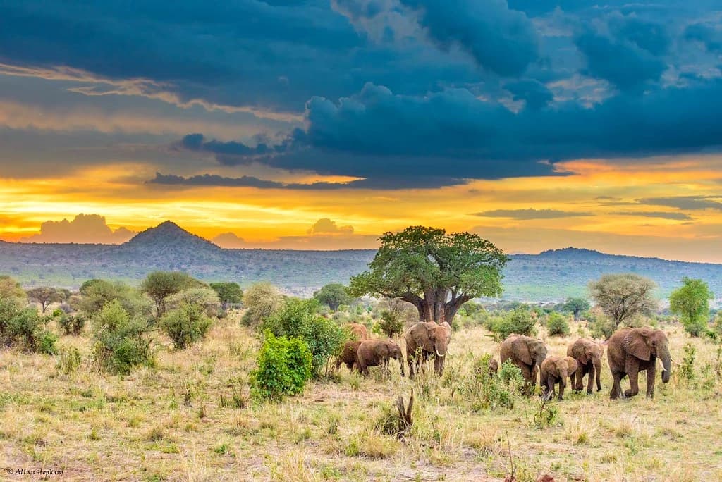 What is the best time to visit Tanzania for a safari?