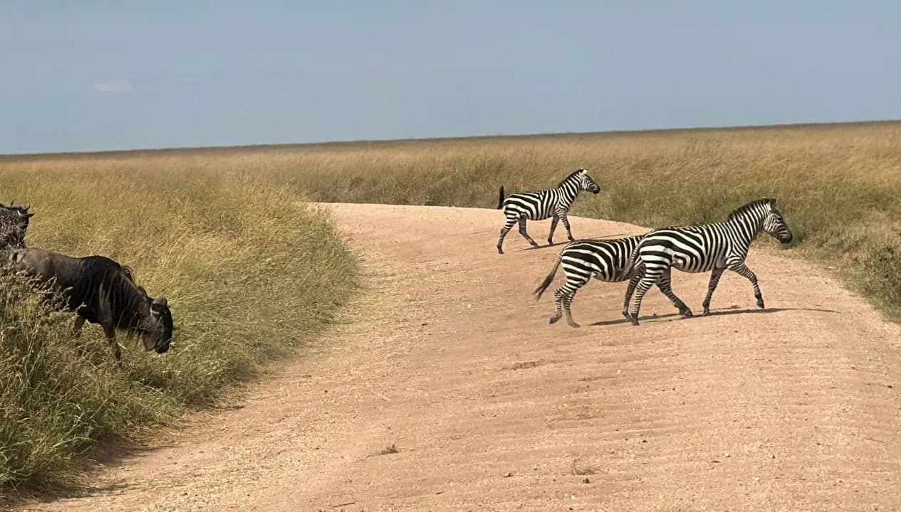 Serengeti National Park