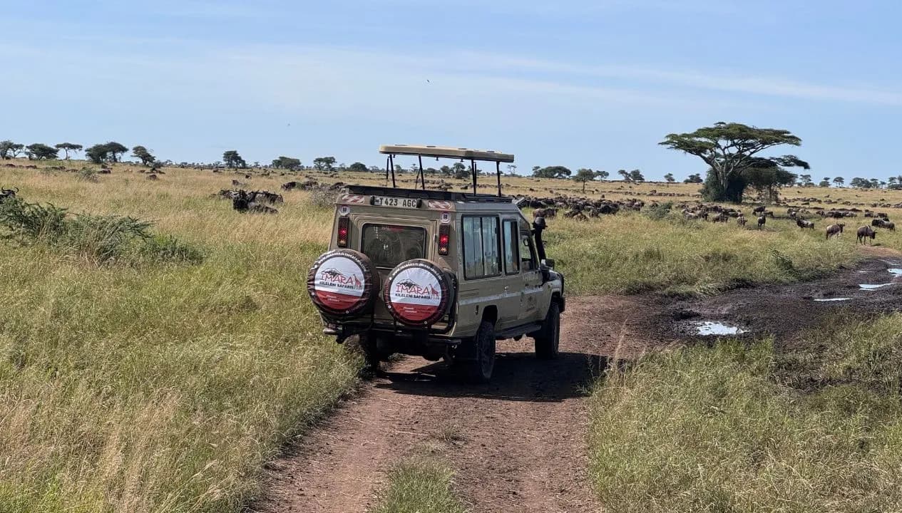 Tanzania Game Drives