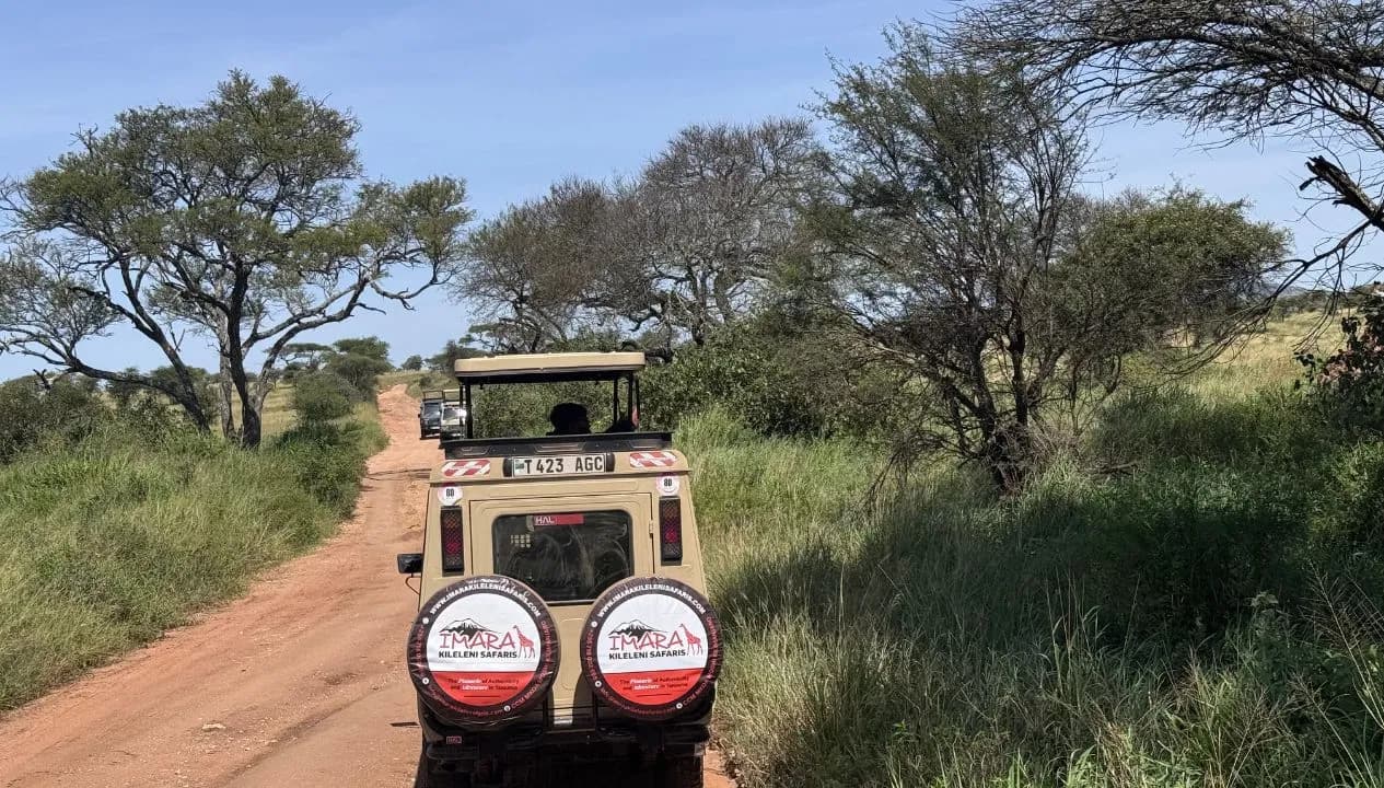 A Great Tanzania Safari Starts with a Great Safari Guide - Here's Why