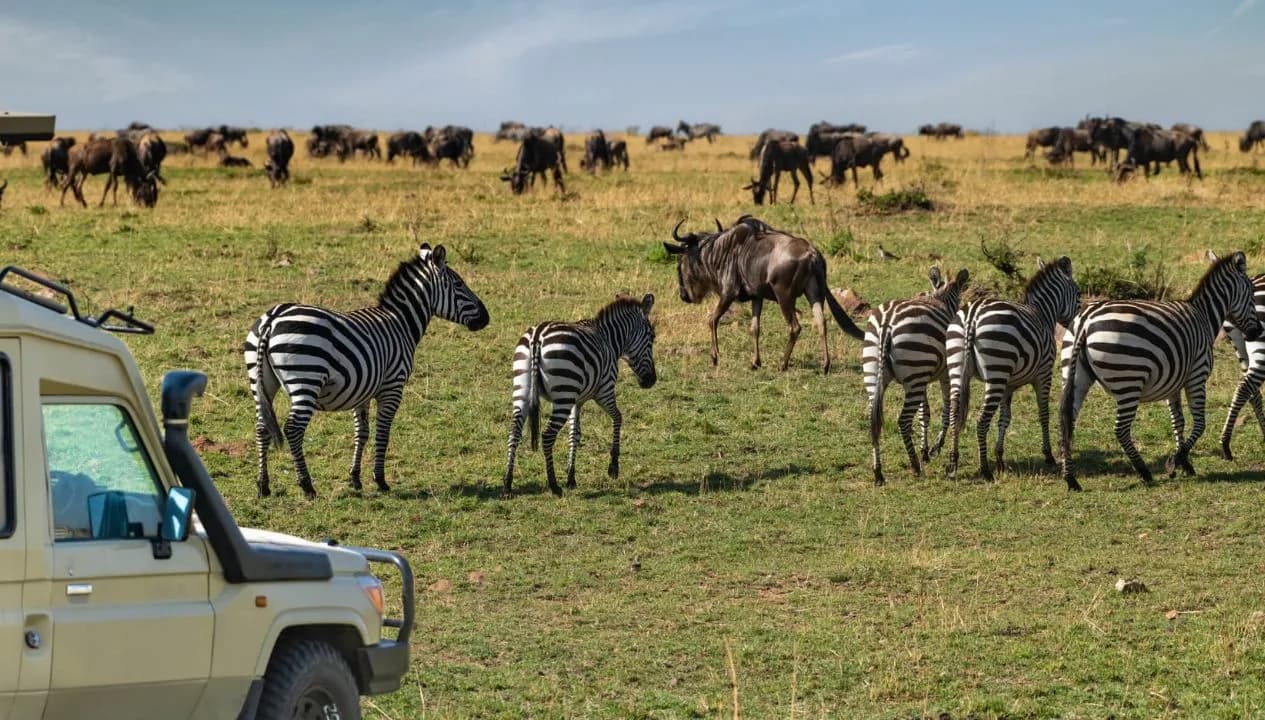 Tanzania Safari Destination