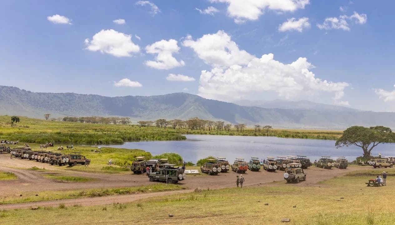Why French Travellers Choose Tanzania for Their Dream Safari Experience