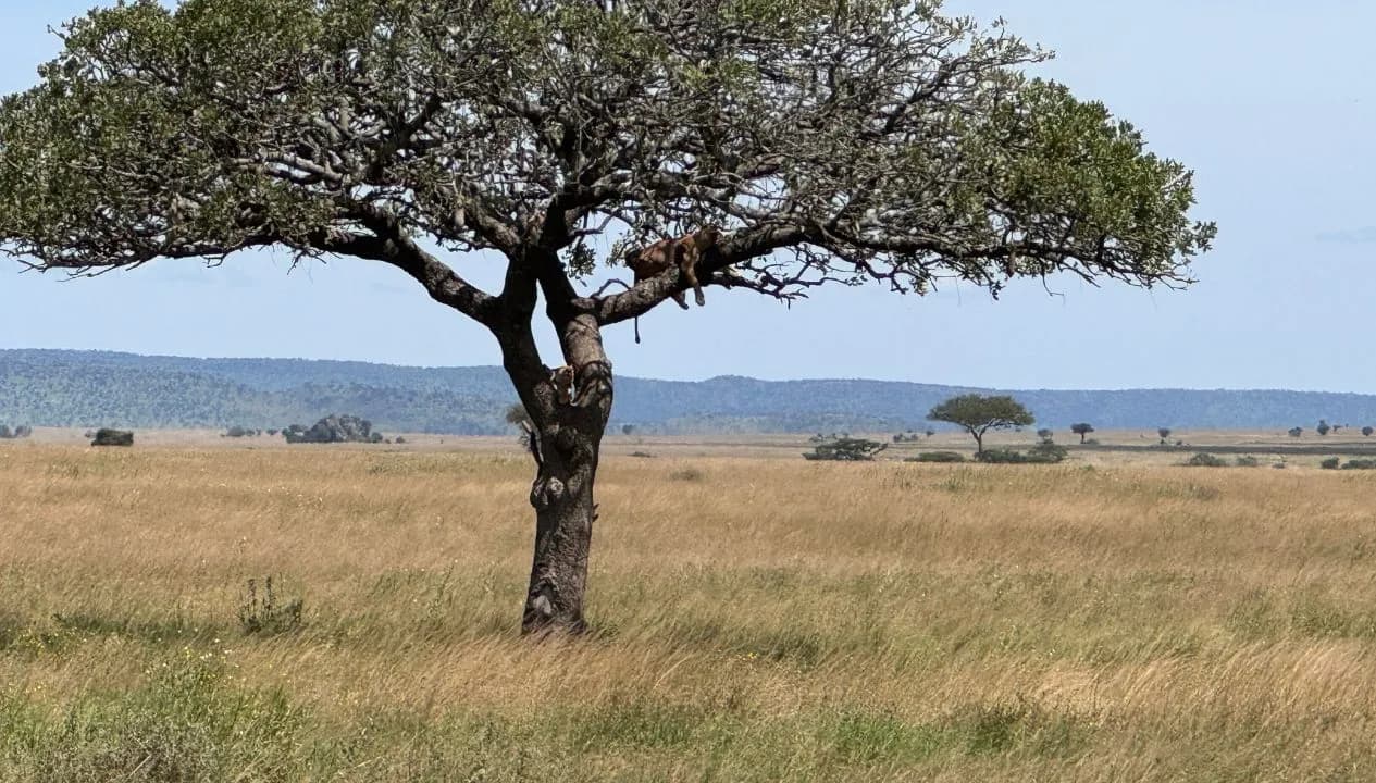 Serengeti National Park