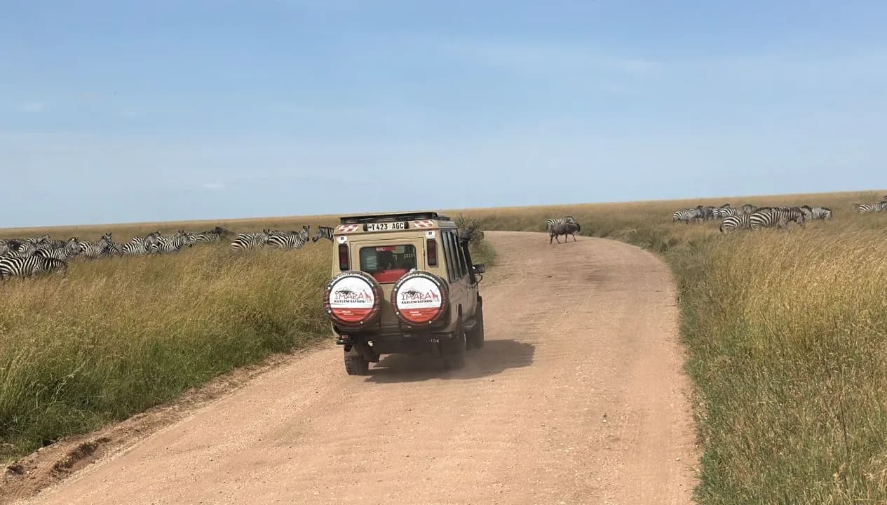 Tanzania Safaris