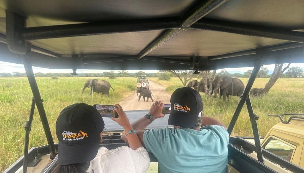 From France to the Serengeti: A Couple's First Encounter with the Great Migration
